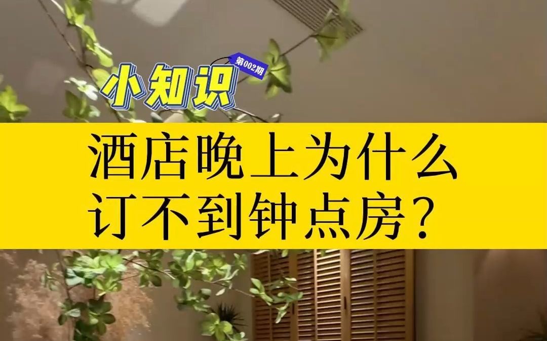 酒店晚上为什么订不到钟点房?哔哩哔哩bilibili