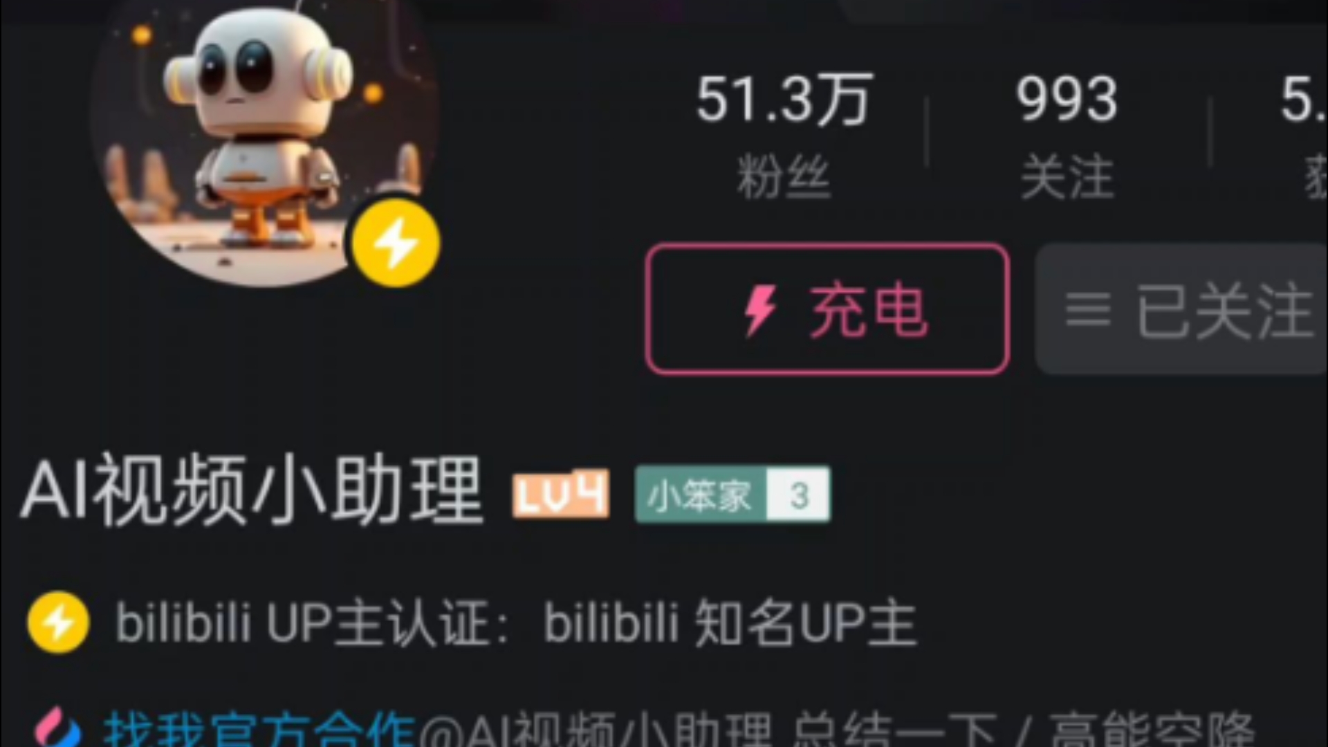 宣战AI视频小助理哔哩哔哩bilibili