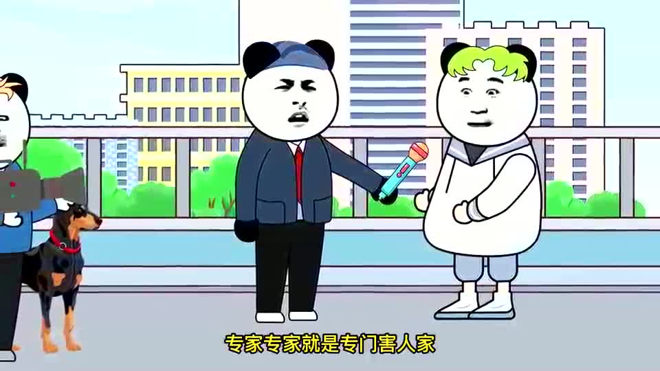 什么叫专家?哔哩哔哩bilibili