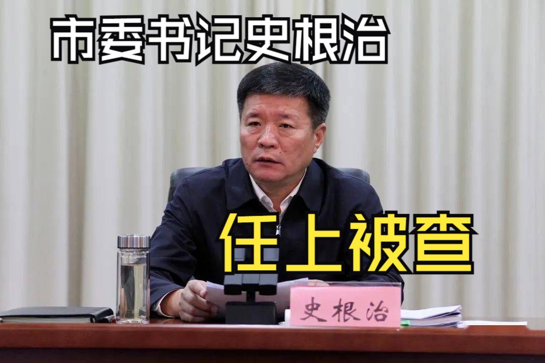 市委书记史根治,任上被查哔哩哔哩bilibili