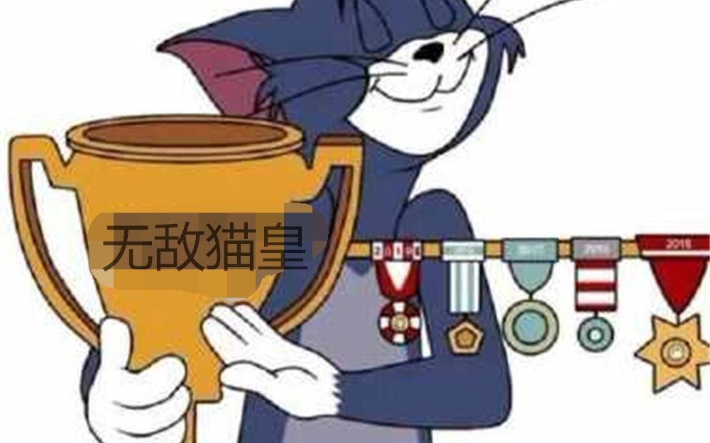 爆肝21600分钟 属于四个猫皇的超燃剪(感谢粉丝群20