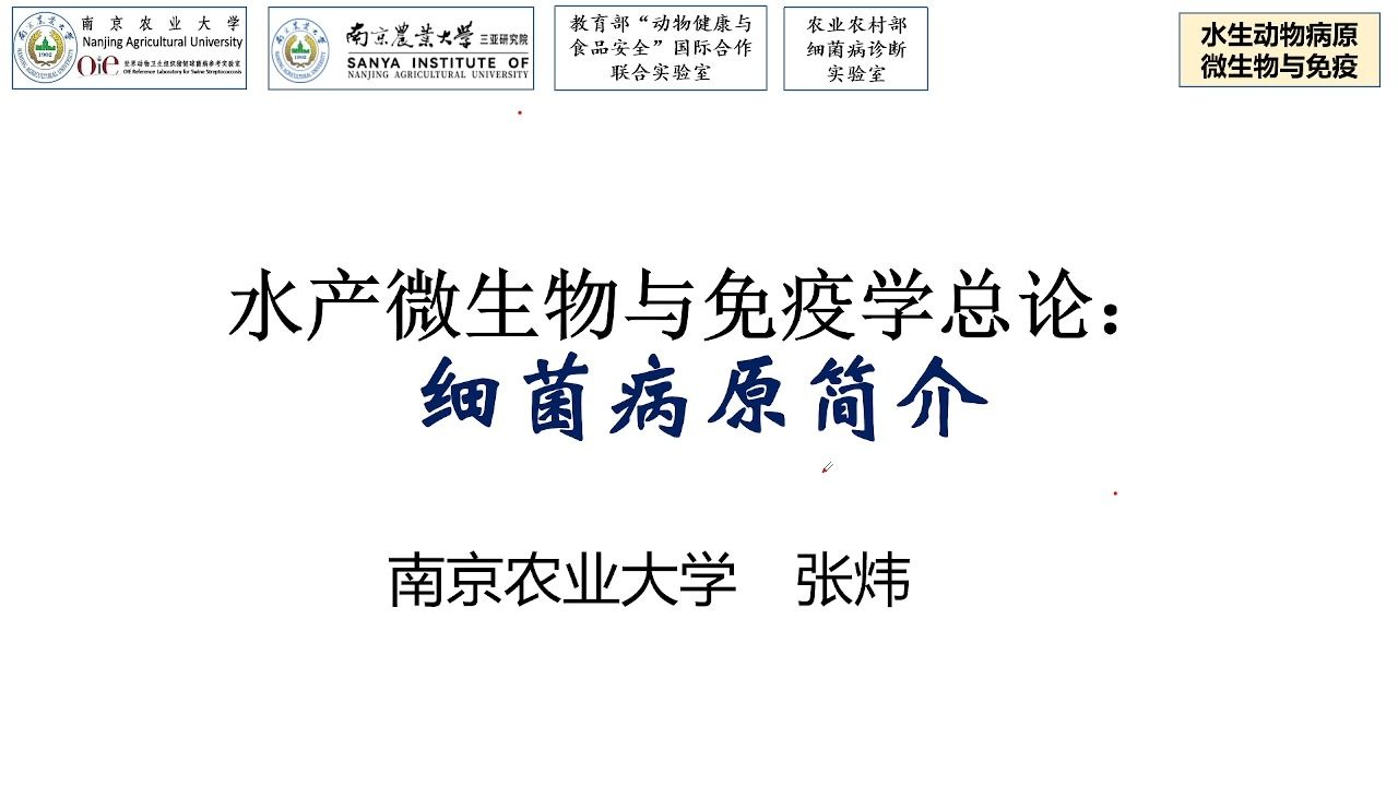 20232024水生动物微生物与免疫学总论:细菌病原(上)哔哩哔哩bilibili