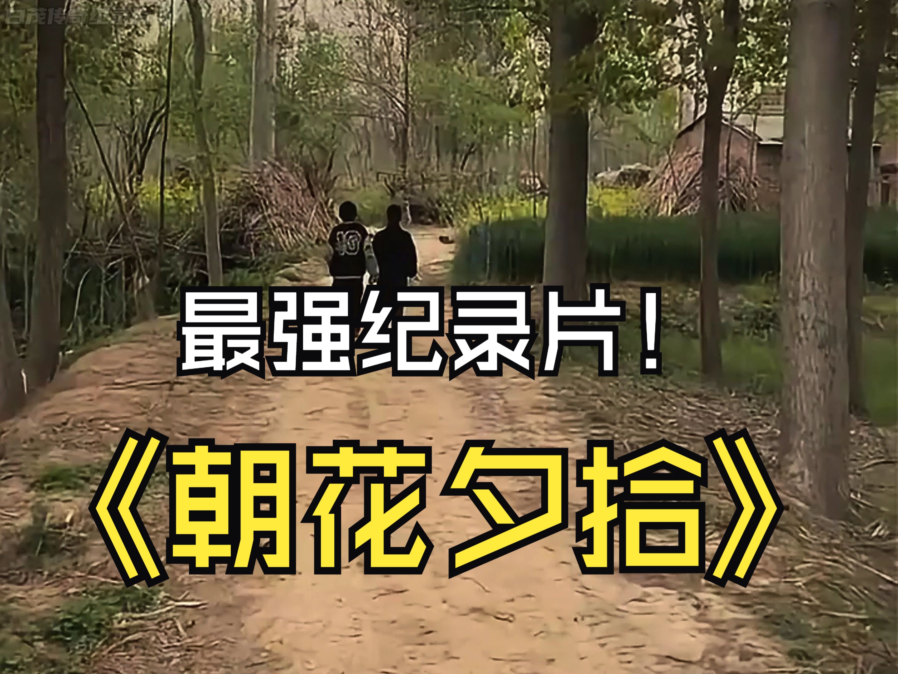 大型记录片《朝花夕拾》