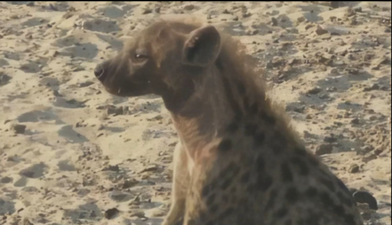 可是，战败的英雄就不算英雄了吗？！