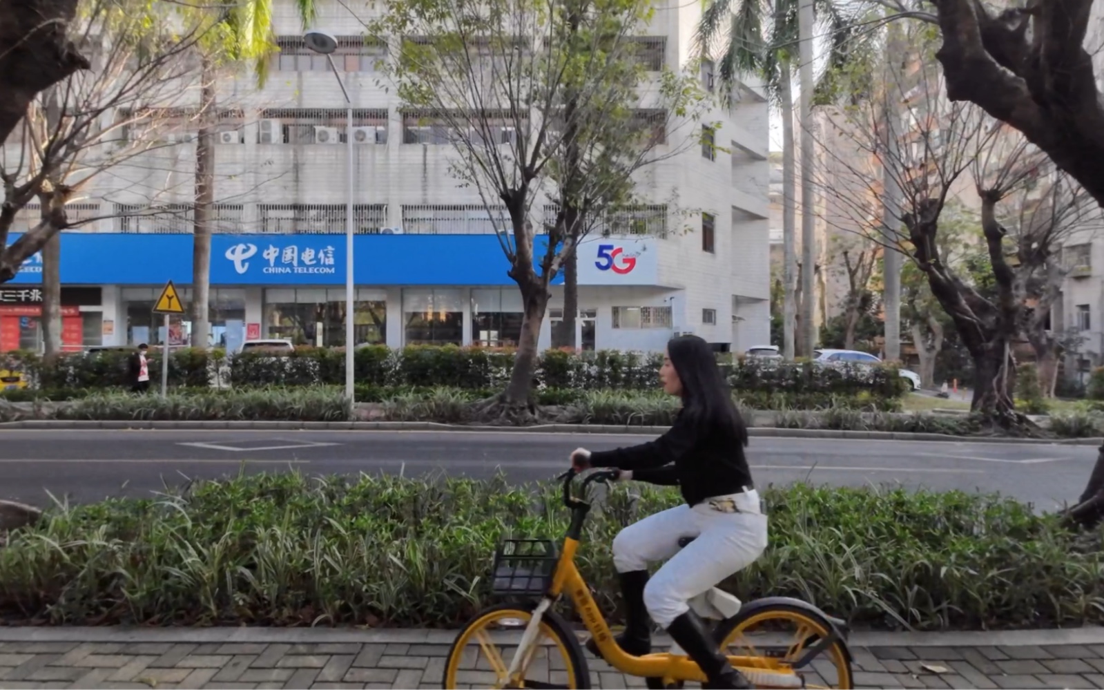 [图]大年初一的深圳华侨城，人烟稀少，是深圳过年散步的圣地。