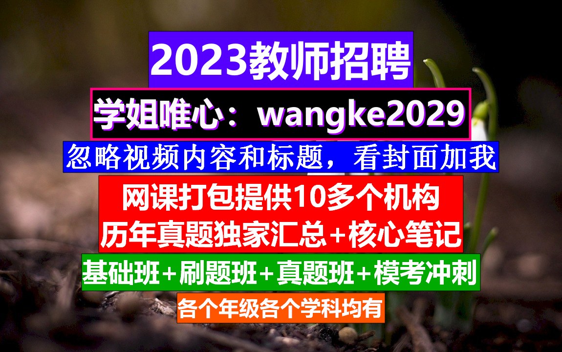 全国教师招聘幼儿园学科知识,教师编制考试什么时候,教师培训计划哔哩哔哩bilibili