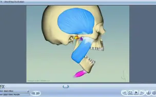 Tải video: 颞下颌关节紊乱（TMJ）动画
