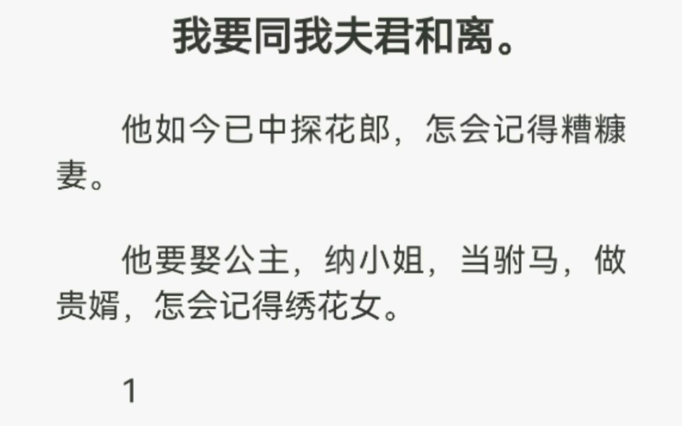 我要同我夫君和离,他如今已中探花郎,怎会记得糟糠妻.他要娶公主,纳小姐,当驸马,做贵婿,怎会记得绣花女.哔哩哔哩bilibili