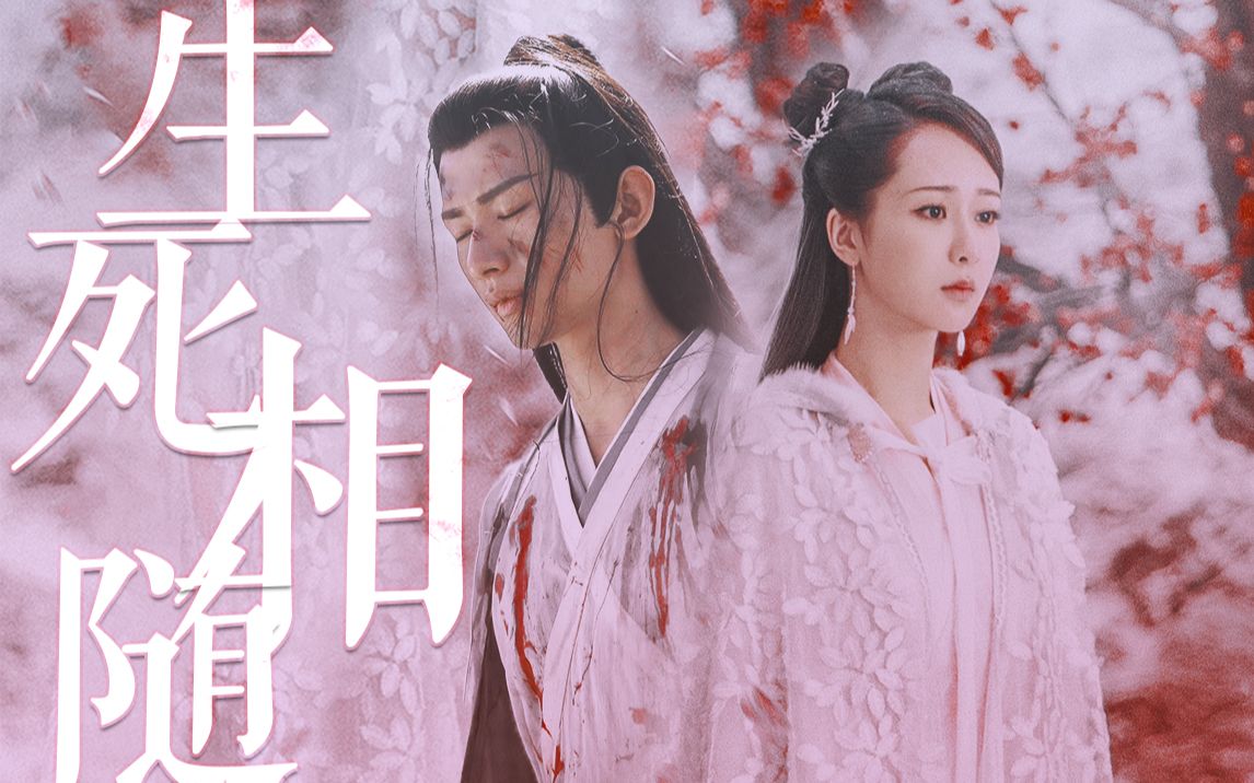 【禹司凤x白夭夭】”生相死随,千年追寻“【杨紫|成毅】哔哩哔哩bilibili