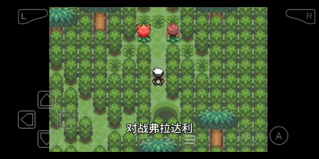 究極綠寶石5.5瘋狂模式 魔法版 對戰弗拉達利