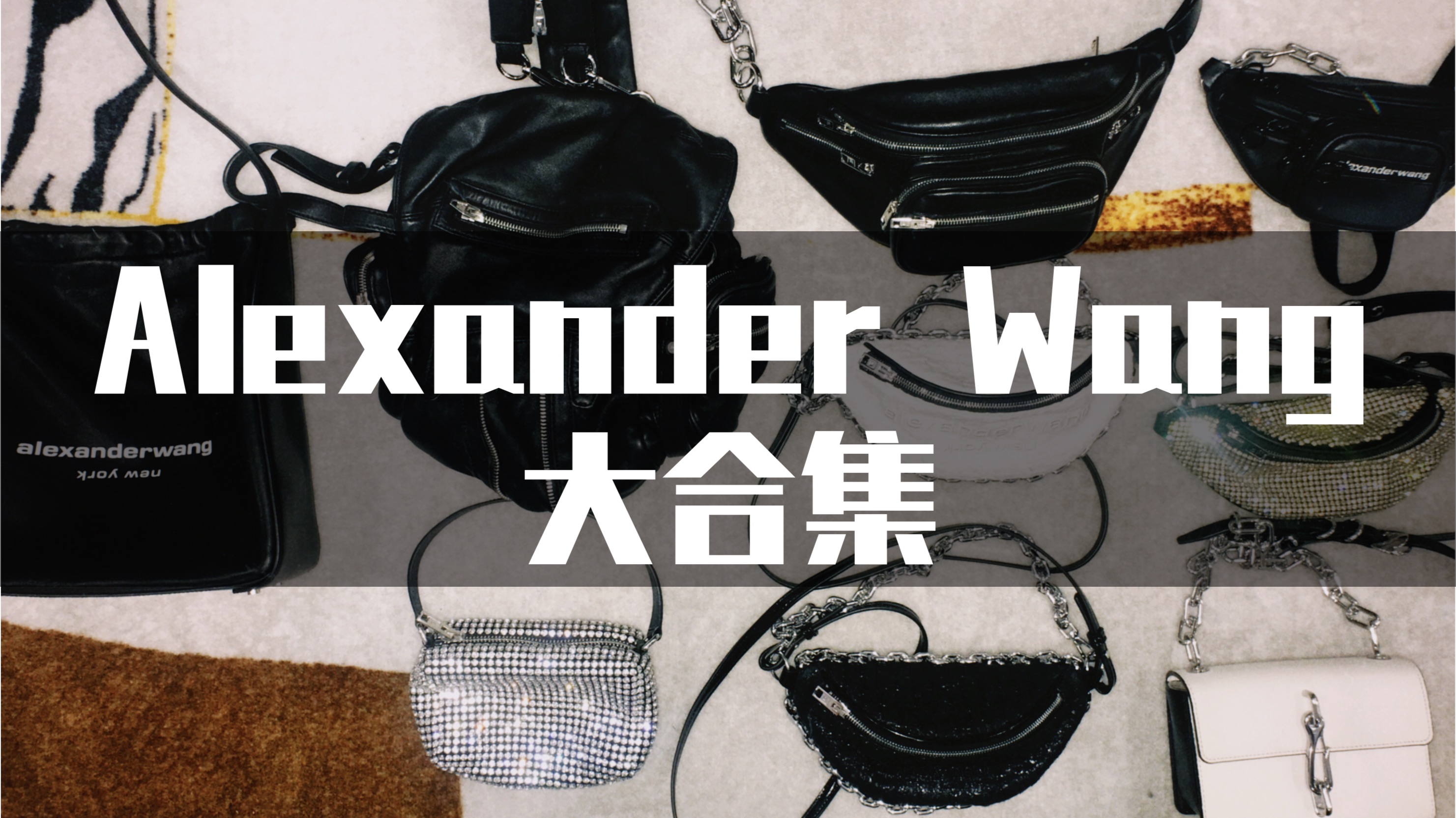 包包合集 |价值6w的 9 款王大仁包袋合集 Alexander Wang的女人从不认输!!!哔哩哔哩bilibili