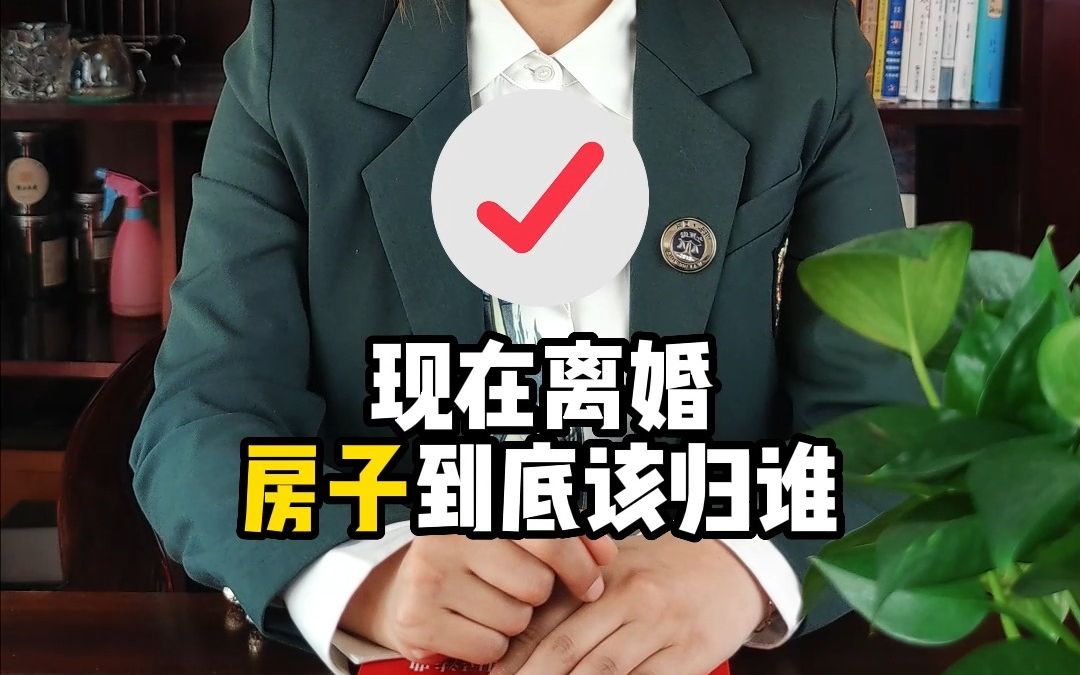 法卫士:现在离婚房子到底归谁?哔哩哔哩bilibili