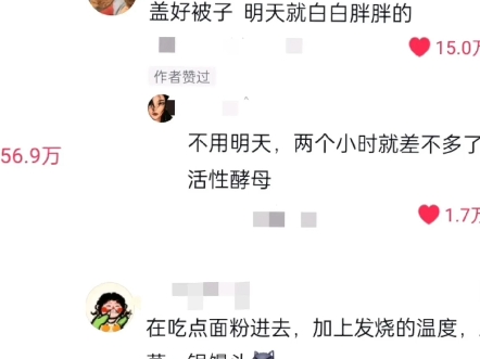 酵母:我来看看是谁要发酵哔哩哔哩bilibili