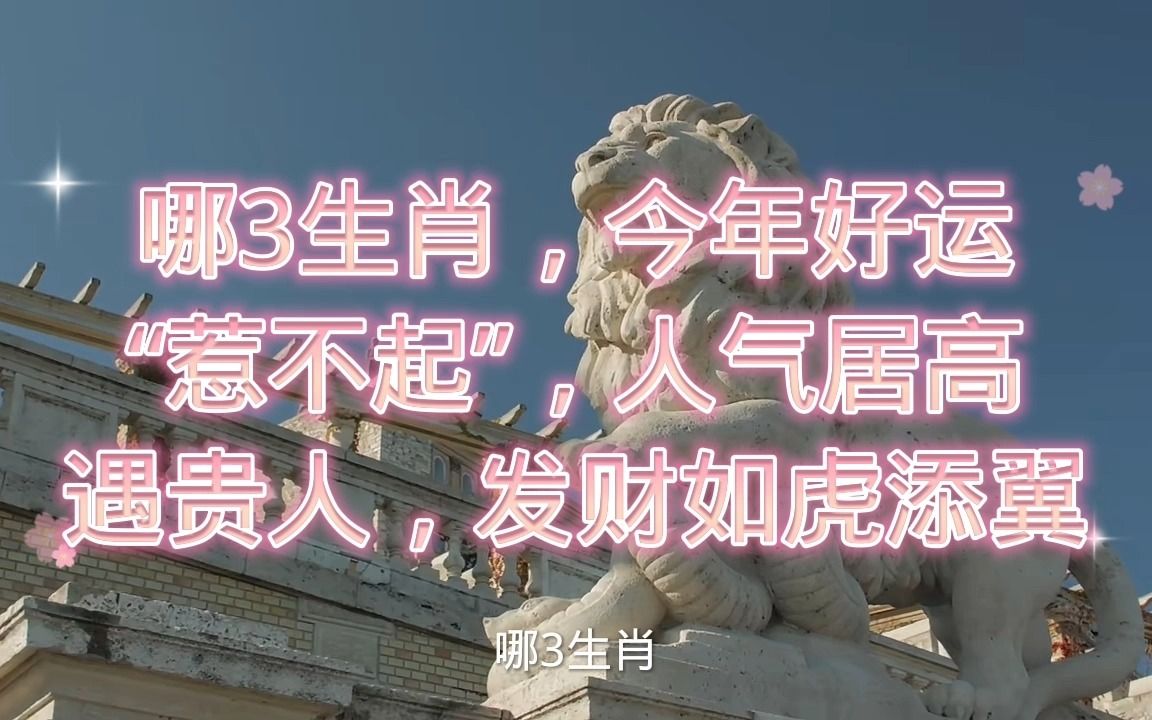 哪3生肖,今年好运“惹不起”,人气居高,遇贵人,发财如虎添翼哔哩哔哩bilibili