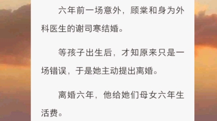 六年前一场意外,顾棠和身为外科医生的谢司寒结婚.等孩子出生后,才知原来只是一场错误,于是她主动提出离婚.离婚六年,他给她们母女六年生活费....