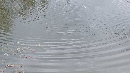 愉快的炸鱼塘炸到地板都震了