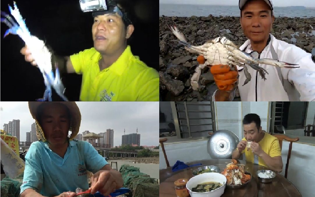 那些被【老四趕海】【漁人阿烽】【漁農小池】【玉平趕海】抓到的