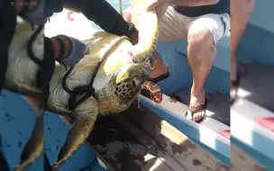 Скачать видео: 垃圾分类真的很重要