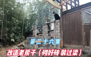 Download Video: 改造农村老房子，水泥砖砌墙，门窗安装过梁，小院越来越漂亮了