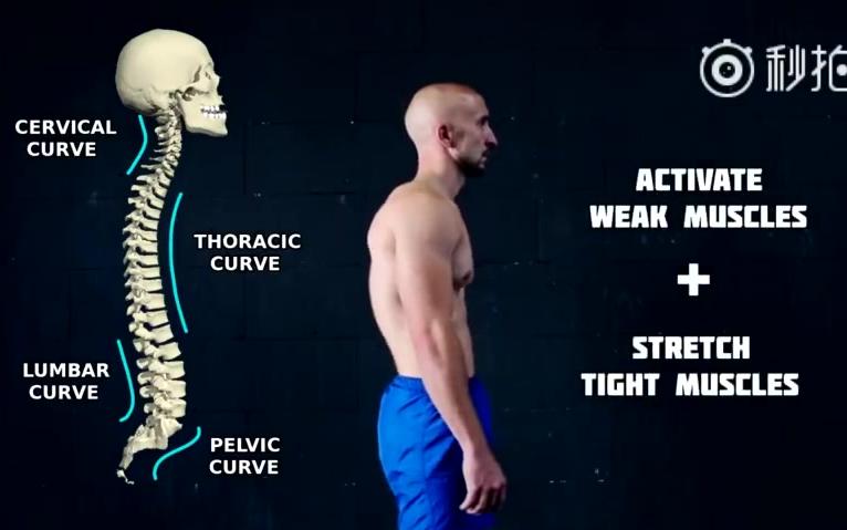【三个有助于改善体态的矫正动作】:反向平板桥式、上拱的三个变式及所有“拉”的运动哔哩哔哩bilibili