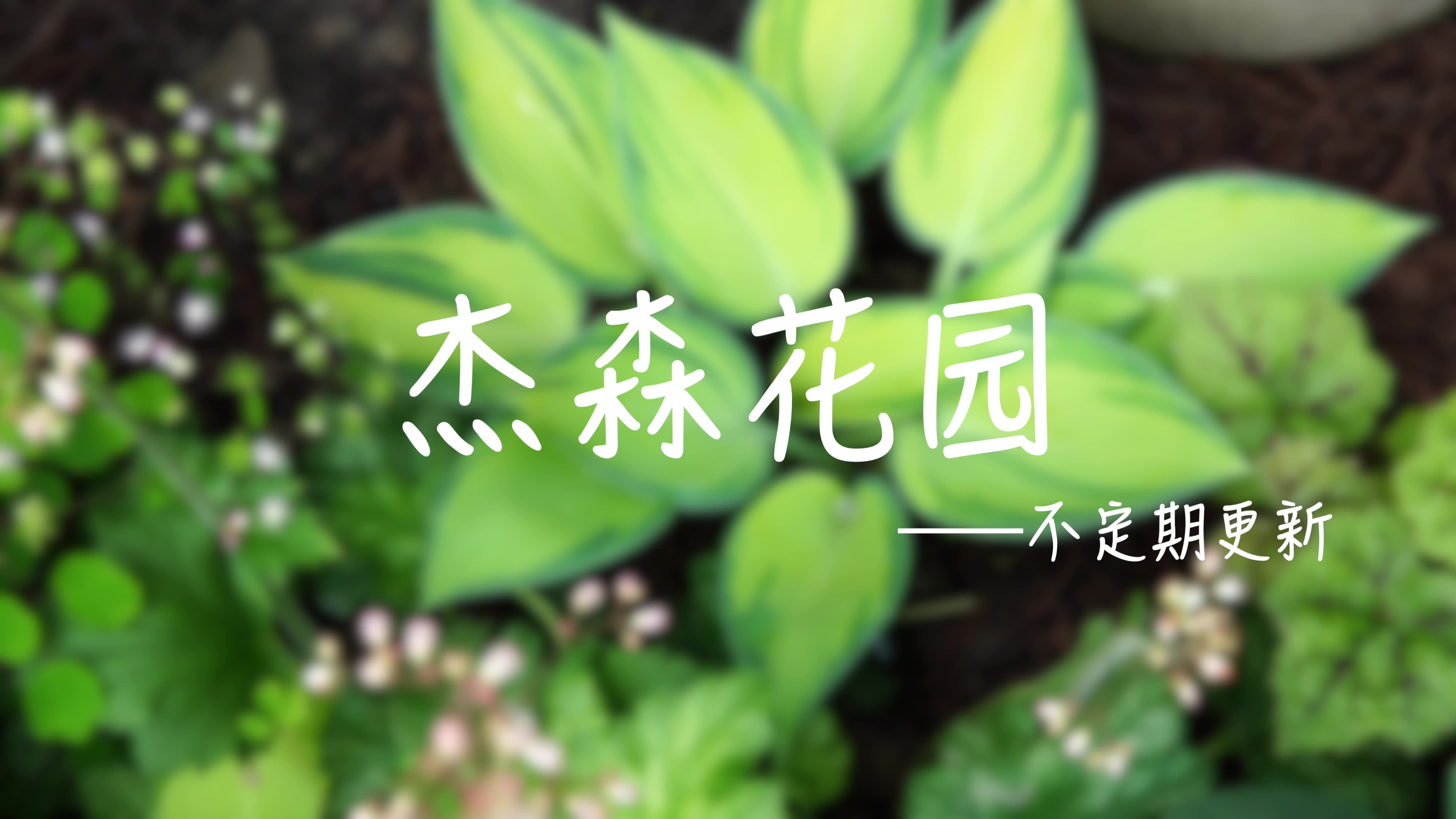 杰森花园第1期哔哩哔哩bilibili