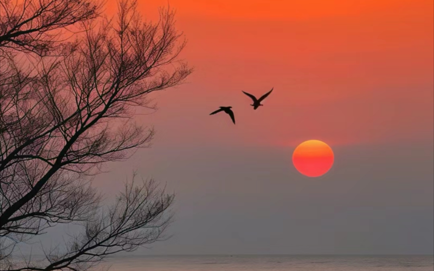 【夏日夕阳】97996108516108 79生活很匆忙 别错过