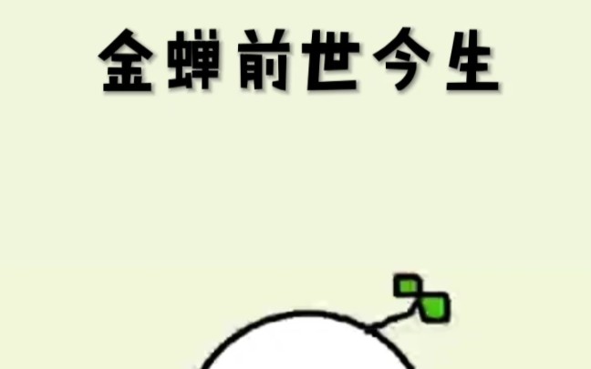 金蝉的前世今生哔哩哔哩bilibili