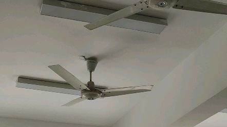 闲置教室的吊扇