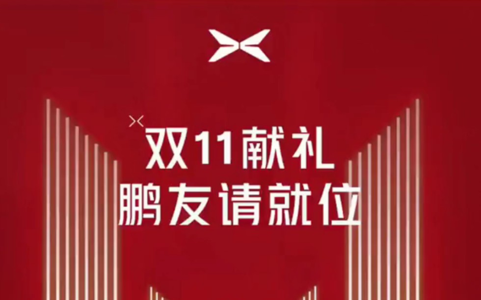 小鹏震惊全网的惊喜大福利!双十一限时权益来袭!哔哩哔哩bilibili