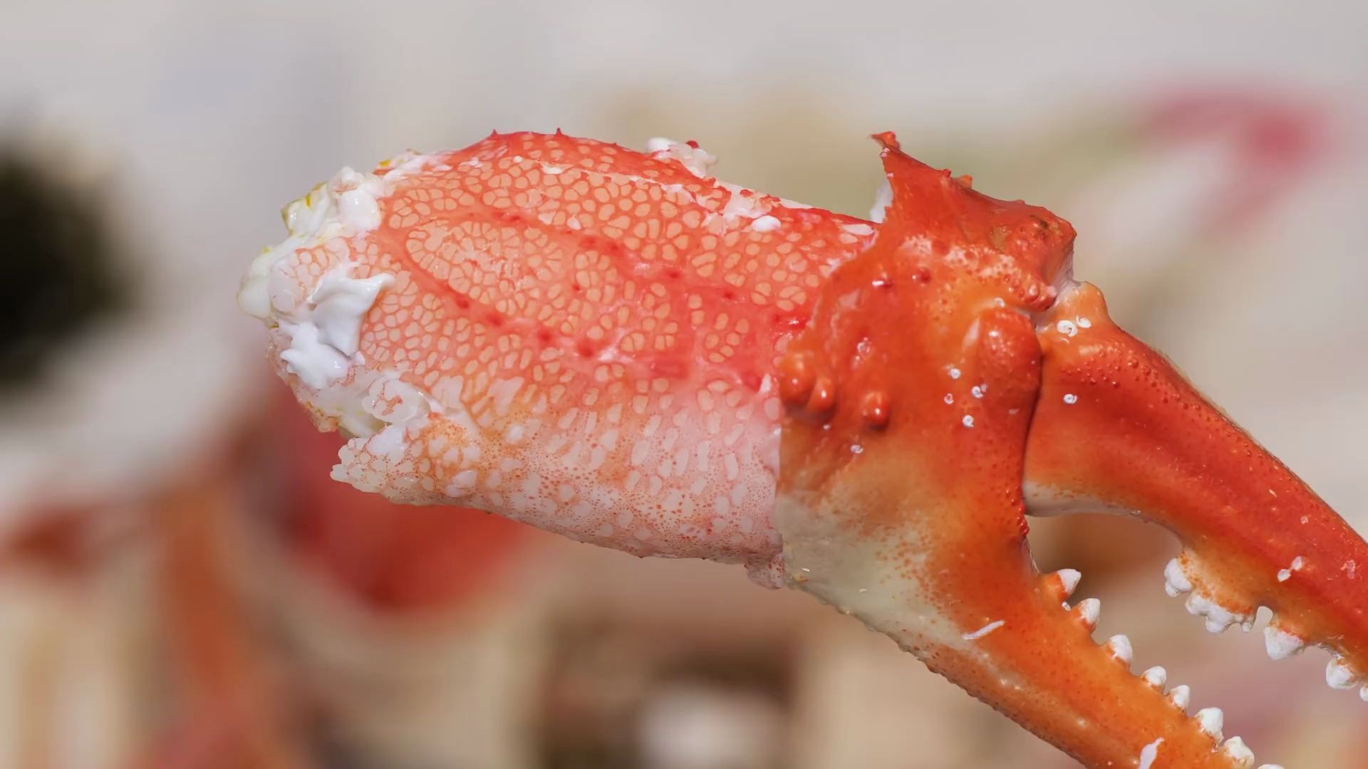 韩国街头美食一顿美味的雪蟹大餐