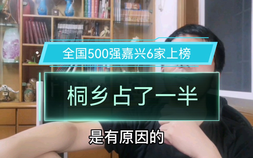 浙江嘉兴,全国500强揭晓,我们6家上榜,桐乡占了一半哔哩哔哩bilibili