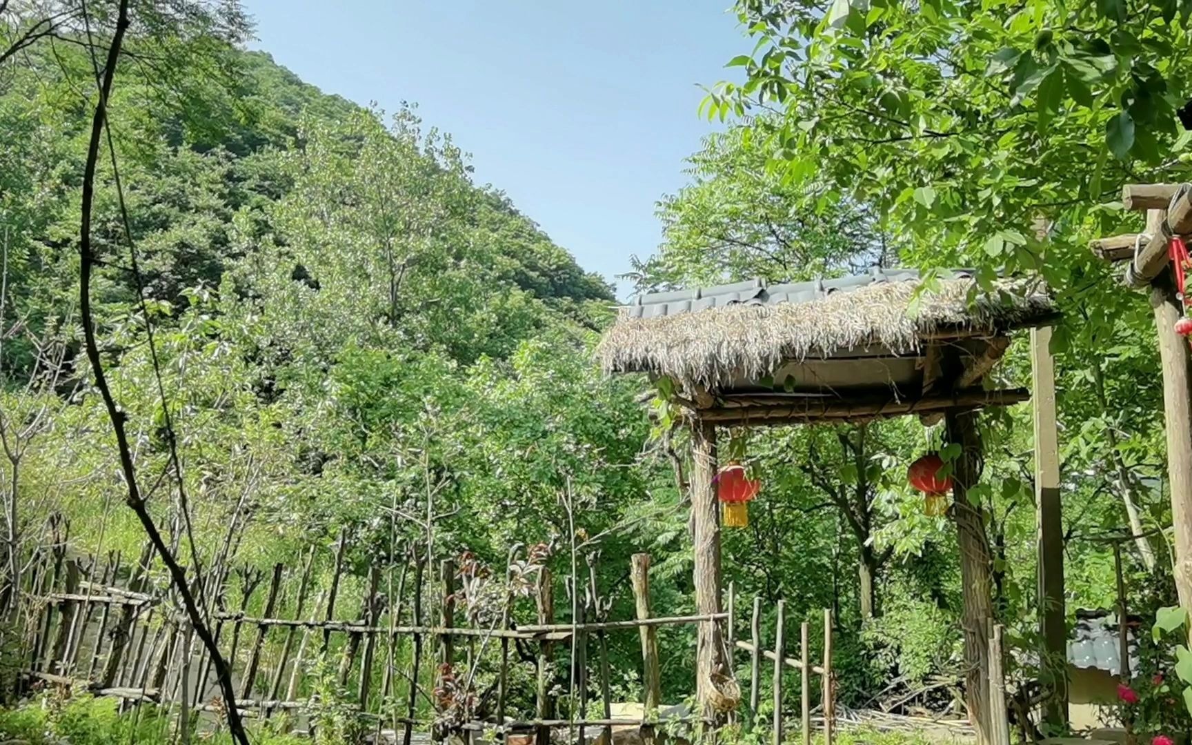 夏天的秦岭终南山一方小院,只有大自然的配乐,鸟语花香