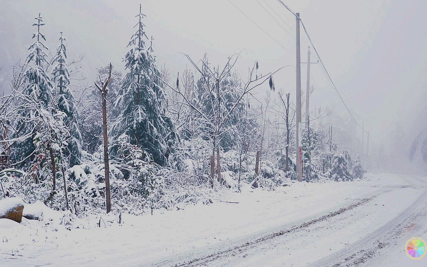 实拍冬日森林,轻风伴随白雪洒落,自然音乐,自然治愈,下雪声,中国炎陵最美风景哔哩哔哩bilibili