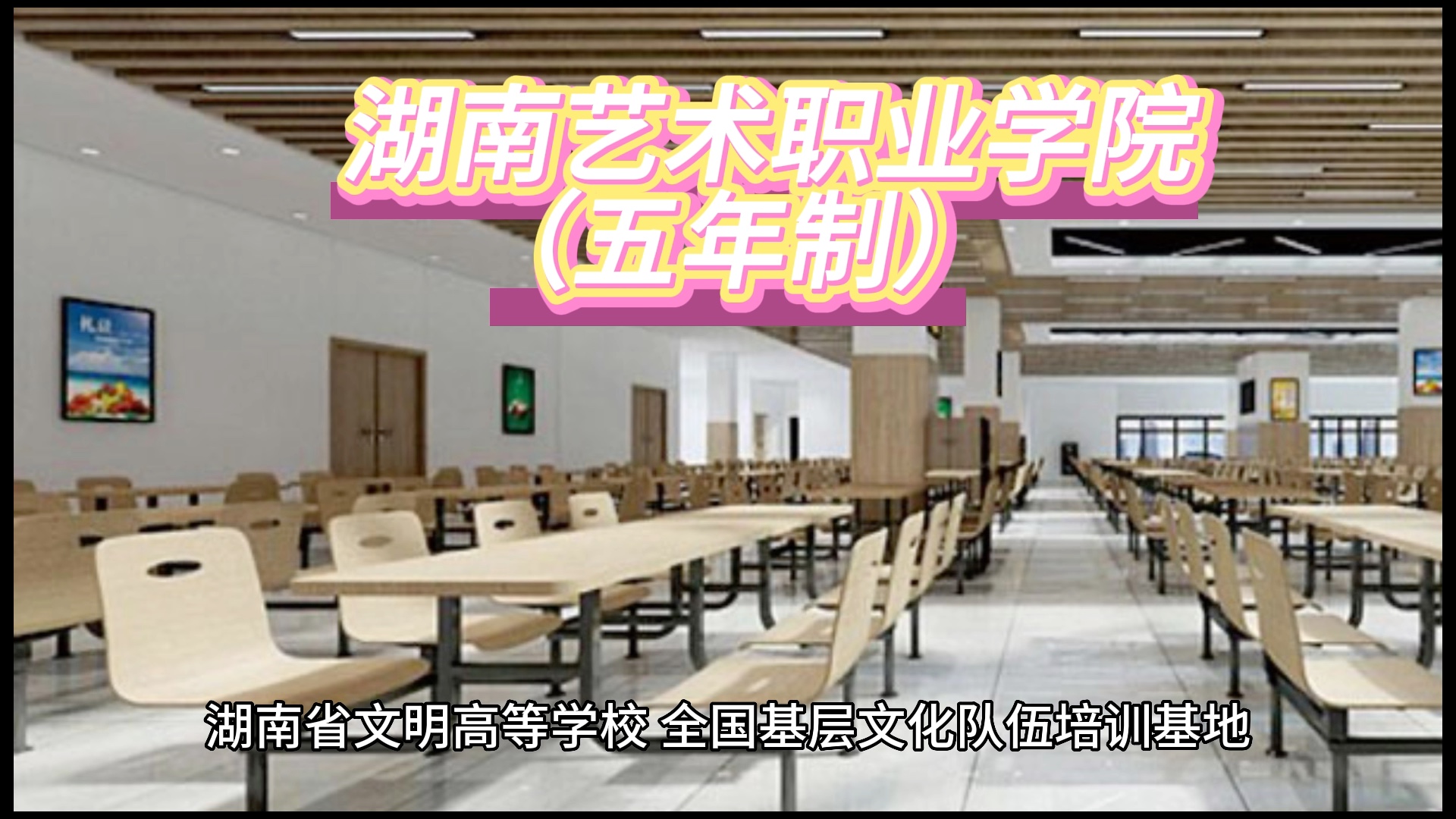 湖南艺术职业学院(五年制)招插班生