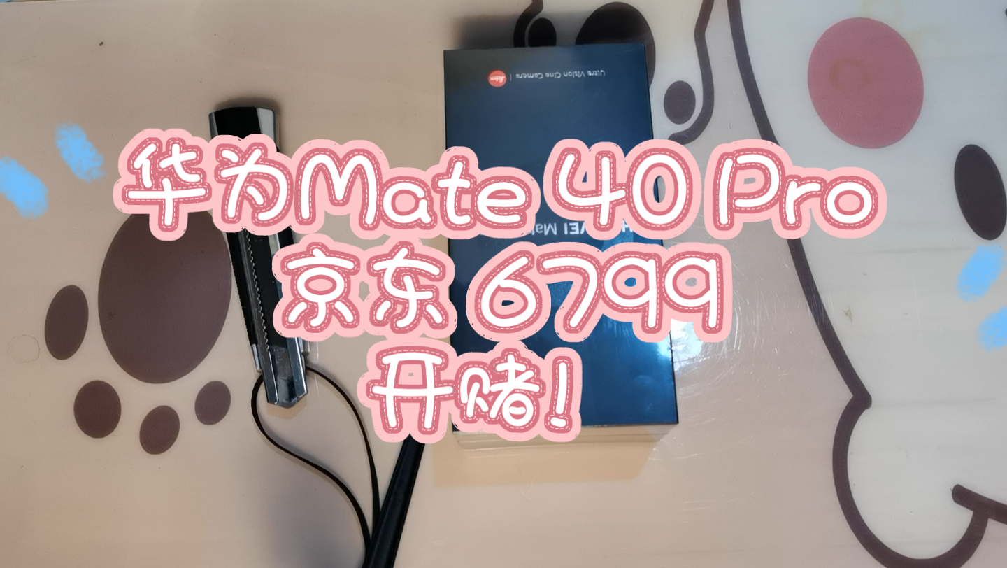 49年入国军系列之 2022年购Mate40 Pro 5G 开赌!哔哩哔哩bilibili