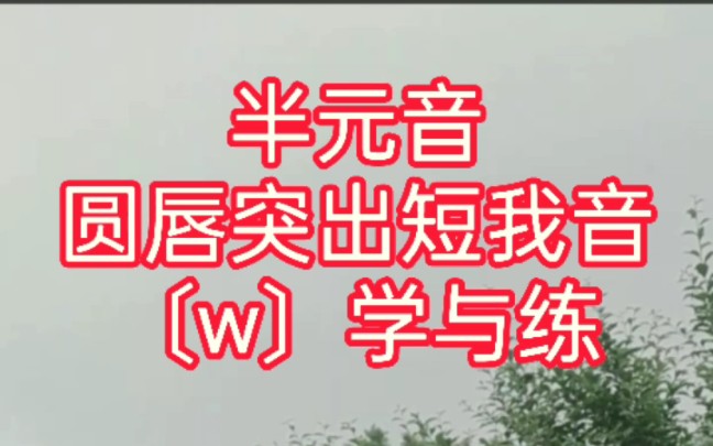 学习英语音标半元音〔w〕学习英语音标半元音〔w〕哔哩哔哩bilibili