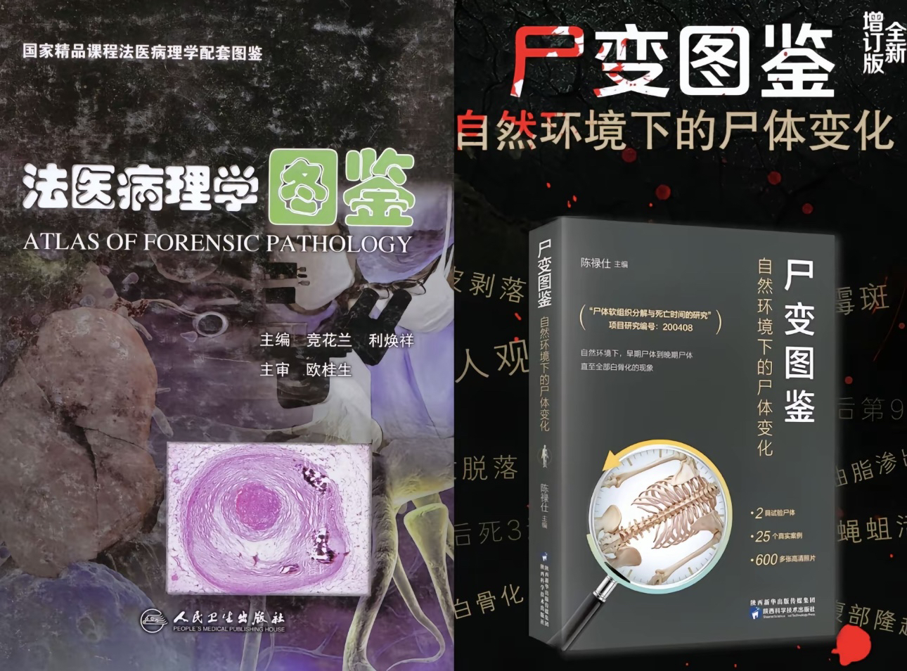 法医病理学图鉴、尸体变化图鉴PDF电子版需要的滴滴哔哩哔哩bilibili