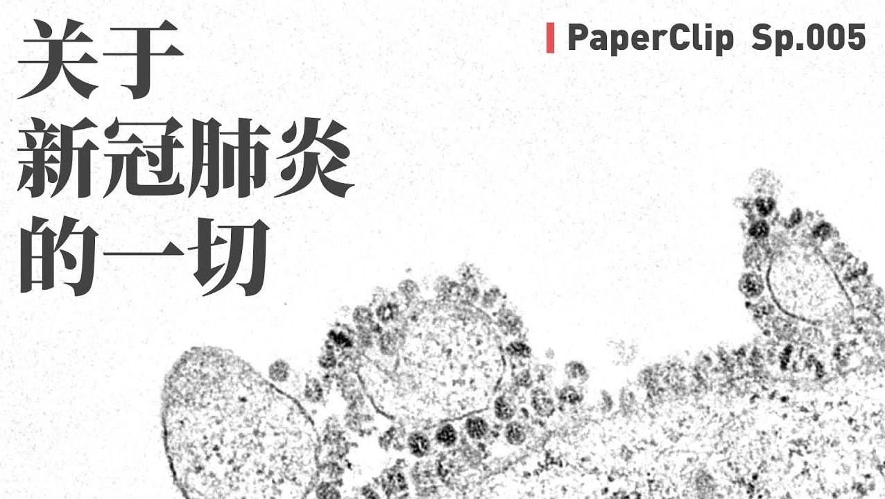 【回形针 补档】sp.005 关于新冠肺炎的一切