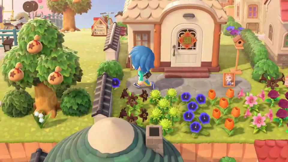 ns动物之森之大吉对不起