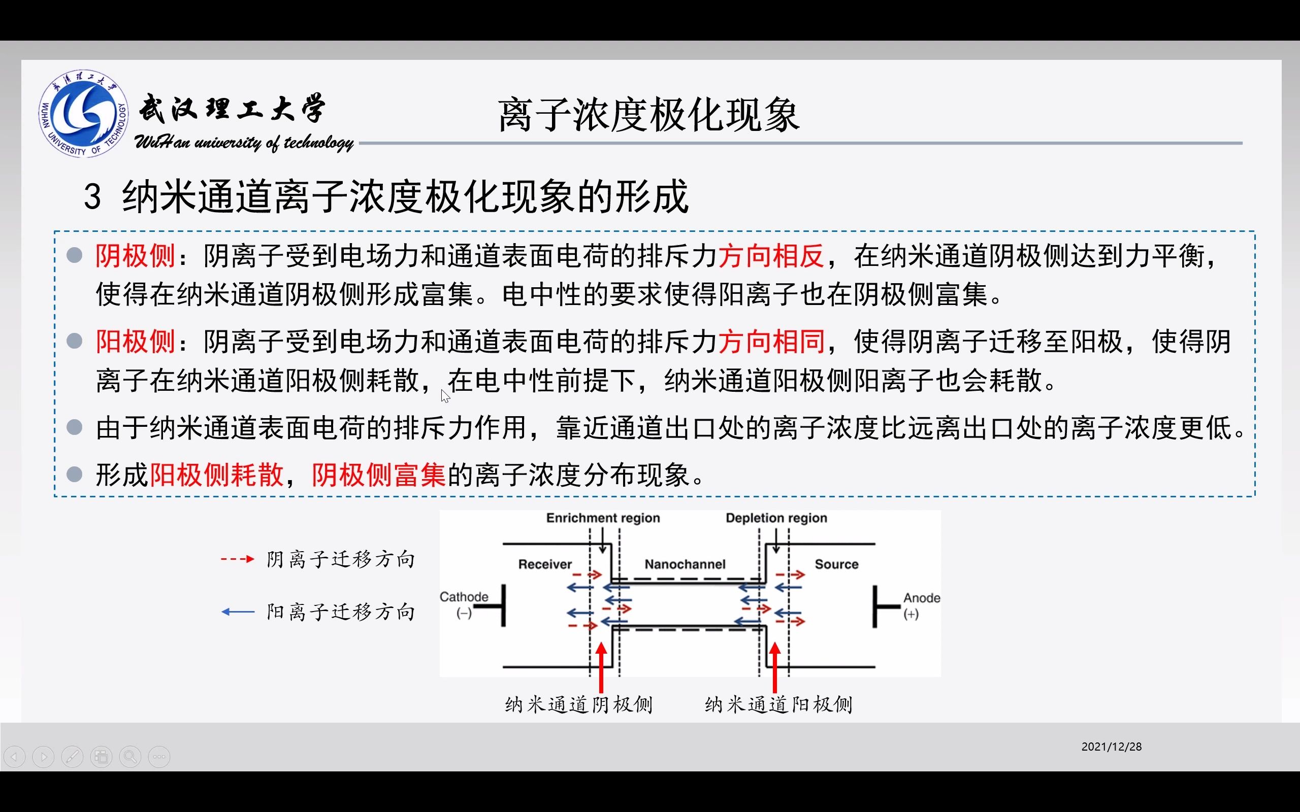 离子浓差极化汇报哔哩哔哩bilibili