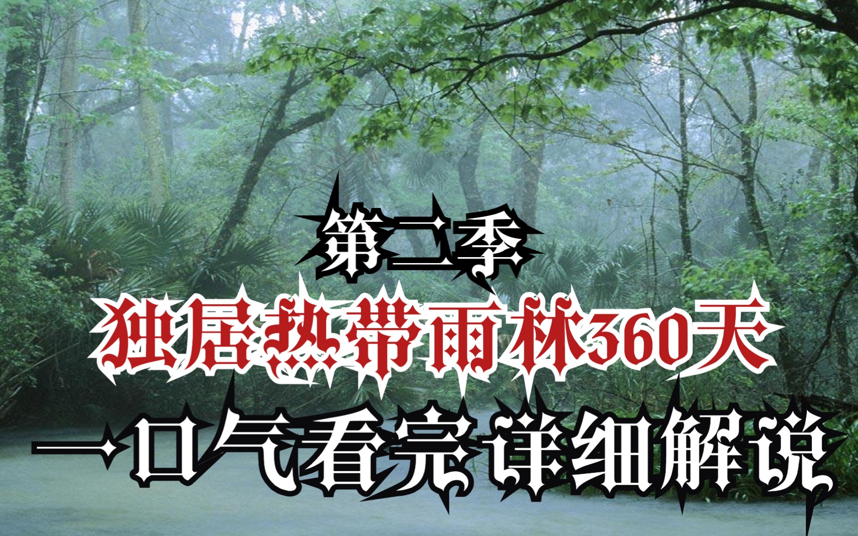 [图]一口气看完《独居热带雨林360天》第二季完整版！印尼小哥带你玩转热带雨林！