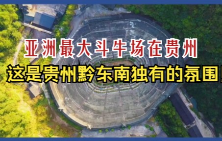 亚洲最大斗牛场在贵州,这是贵州黔东南独有的氛围!哔哩哔哩bilibili