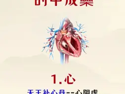 Download Video: 五脏最喜欢的中成藥！