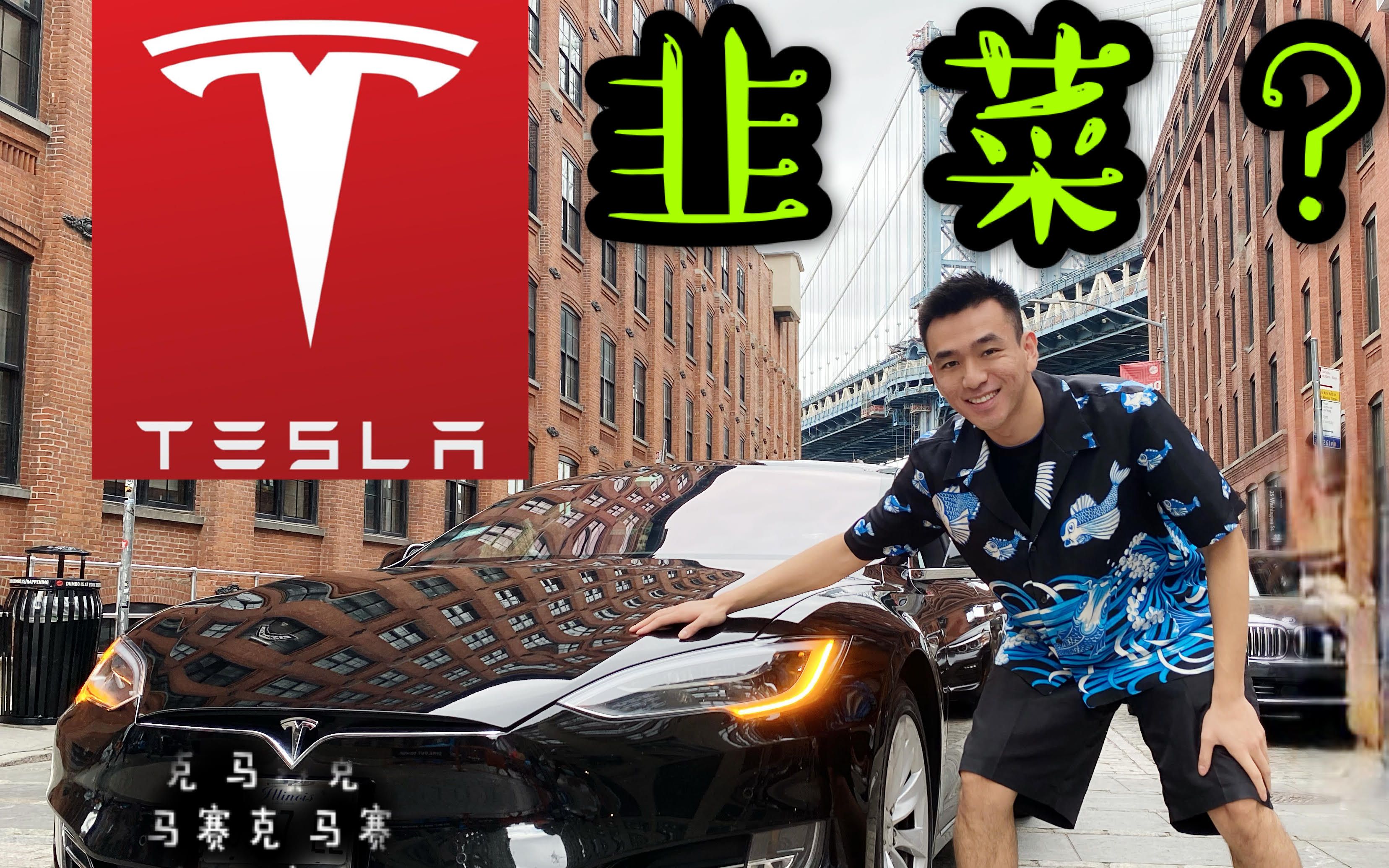 用资本主义暴打资本主义 - 3年特斯拉老韭菜是这样自我拯救的