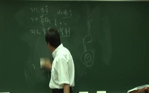 317楝实金铃子楝子倪海厦本草讲解哔哩哔哩bilibili