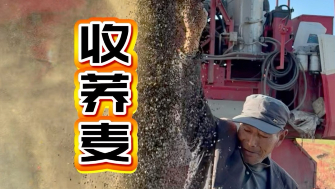 终于用上机械化的收割设备了，就是感觉带价有点大