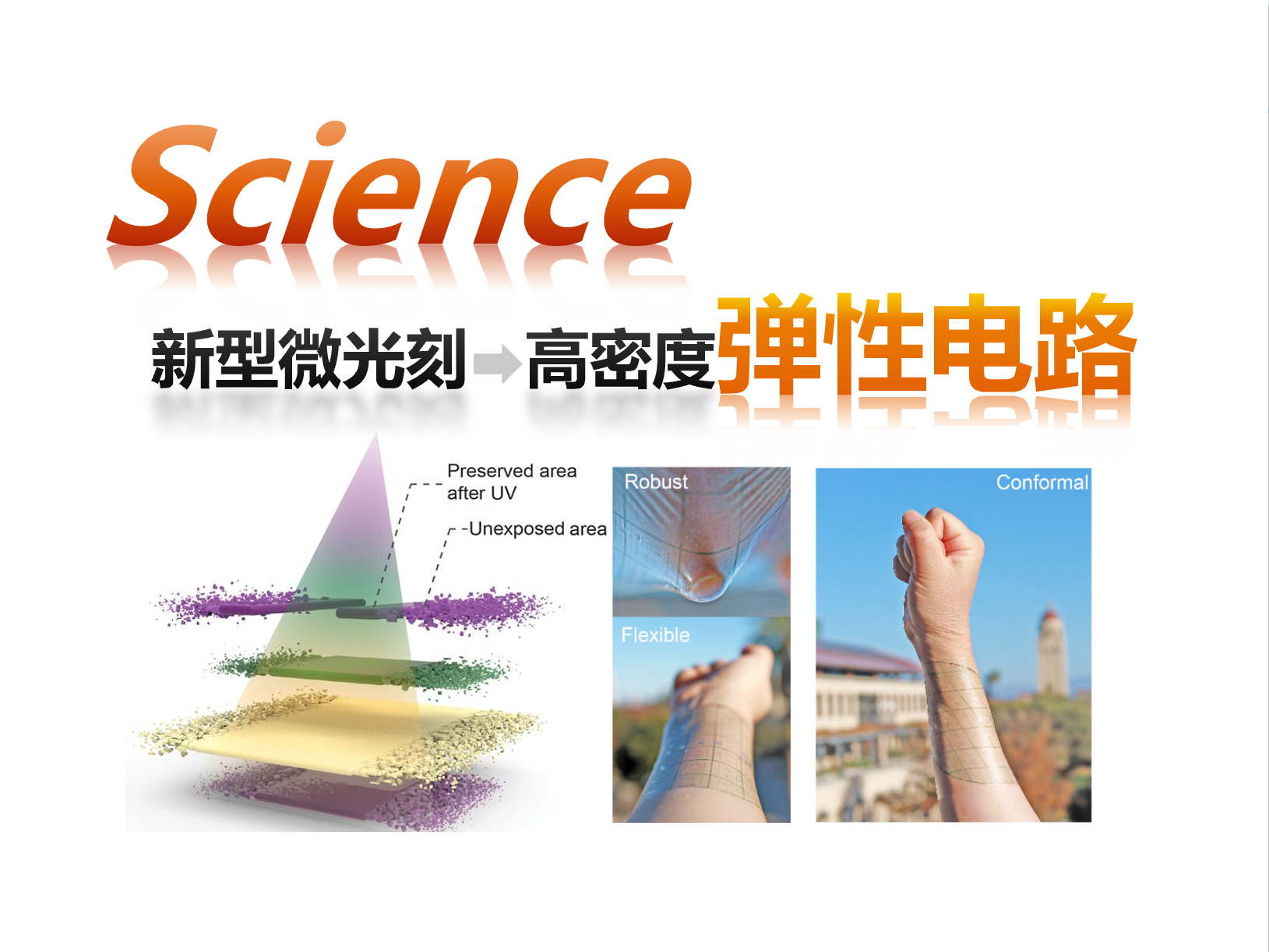 【Science】高密度弹性电路(刘艳华)241108哔哩哔哩bilibili