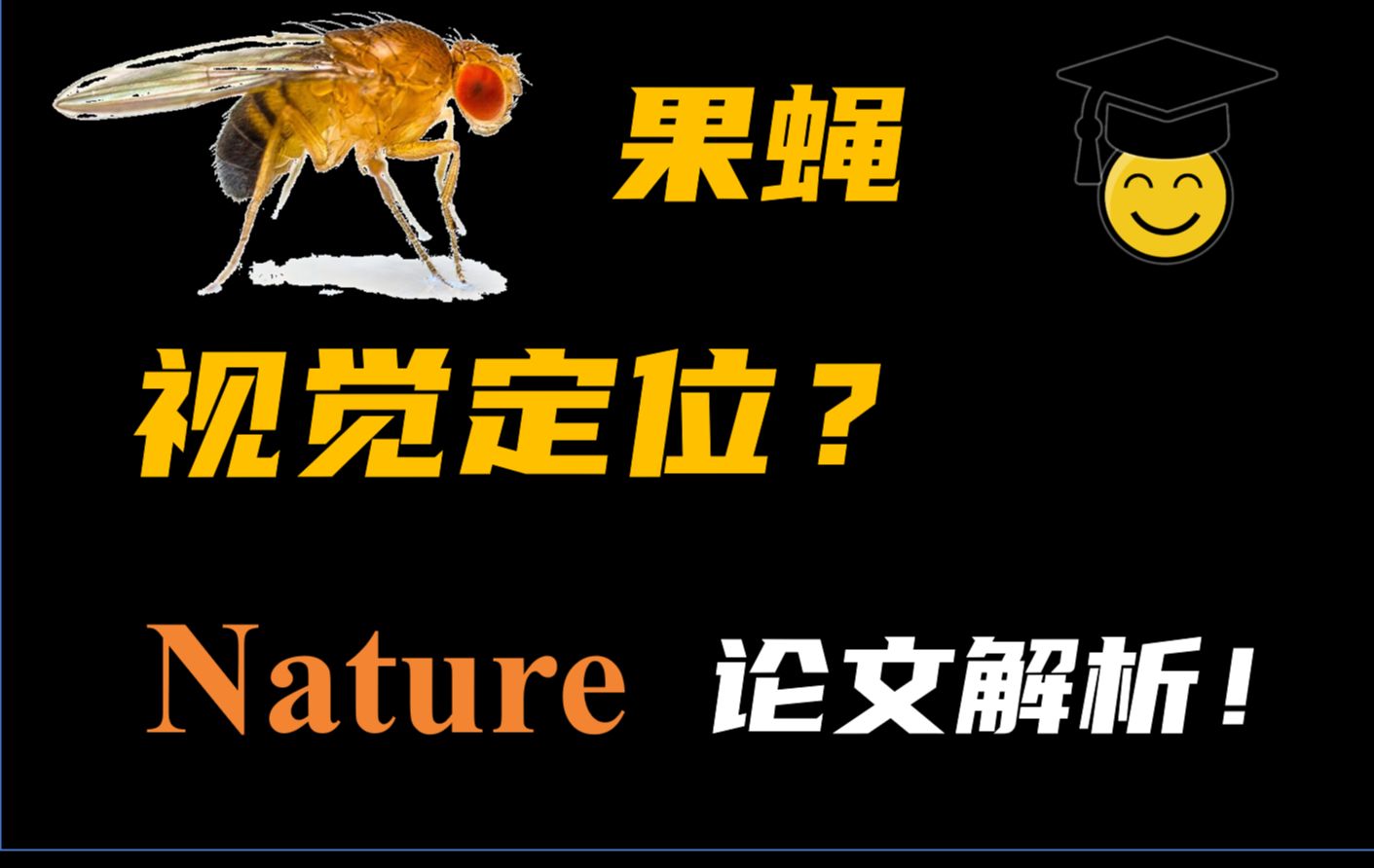 进来看看你和果蝇的视觉定位谁强?【Nature论文解析】哔哩哔哩bilibili