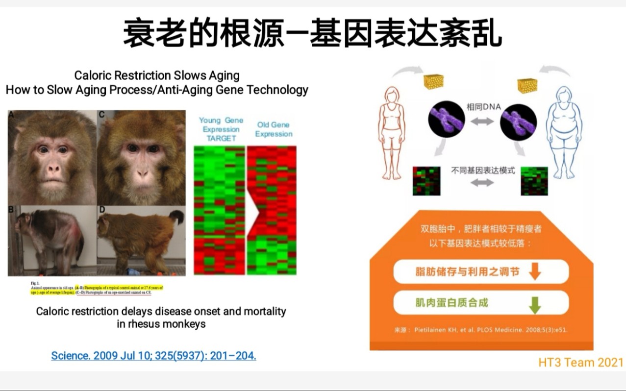 [图]基因科学家王敬强博士讲科学认识衰老与亚健康