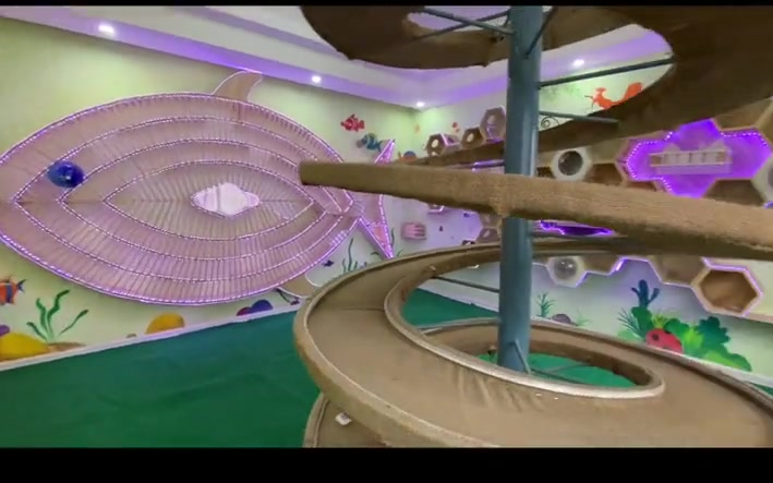 正式官宣,历时9个月打造的梦幻猫城堡,入住时间终于敲定!